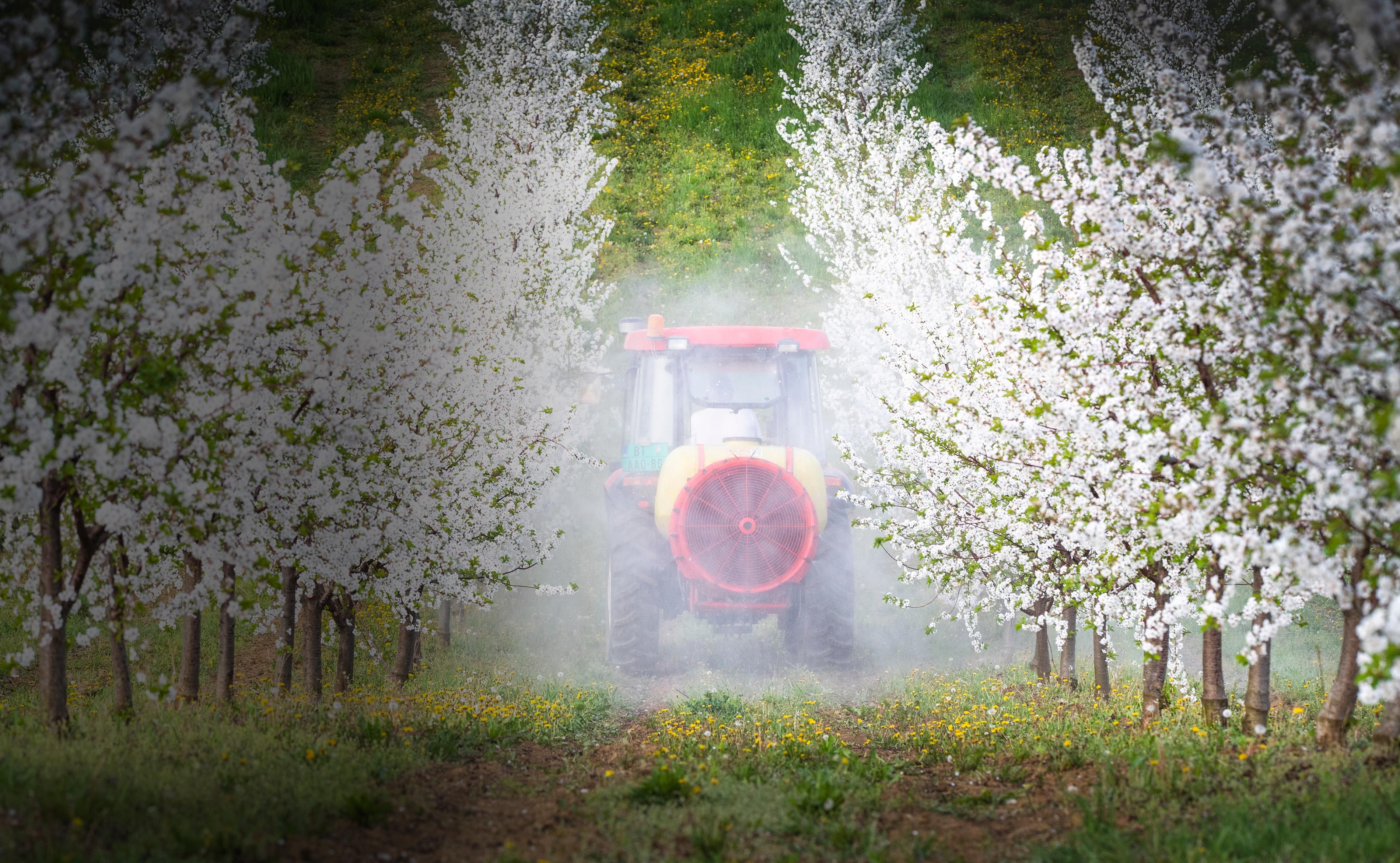 Orchard sprayer in a field. Yeah, it's a bit early for that.