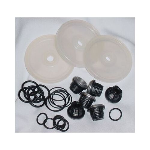 The repair kit for the Hypro D503 Pump includes all the parts in the above picture.
