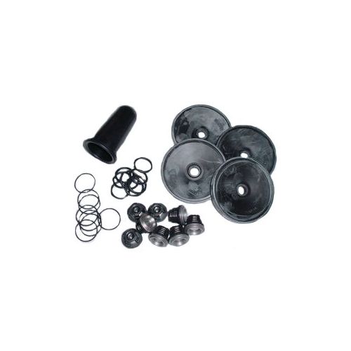 Here is the Hypro D1064 repair kit, includes all diaphragms and valves.