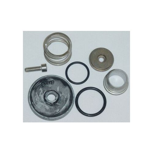 Above is the GS50GI Repair Kit, also known by its Hypro part number of 9910-KIT1732.