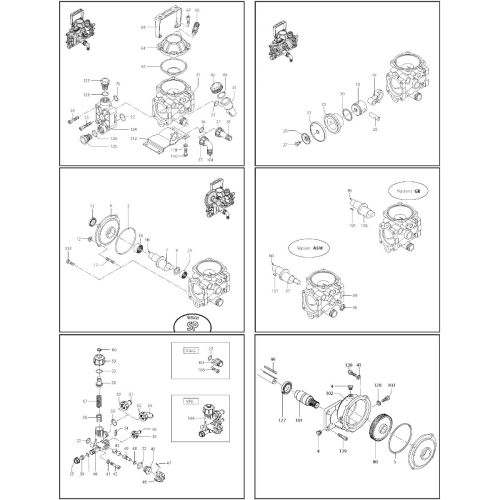 Annovi Reverberi AR252 diaphragm pump parts diagram.