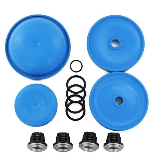 AR30REPAIRBLUE Complete Diaphragm and Valve Repair Kit.