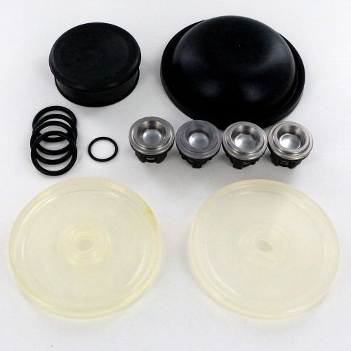 Complete repair kit D30REPAIRDESMO for the Hypro D30 includes the Desmopan diaphragms, valves, and o-rings.