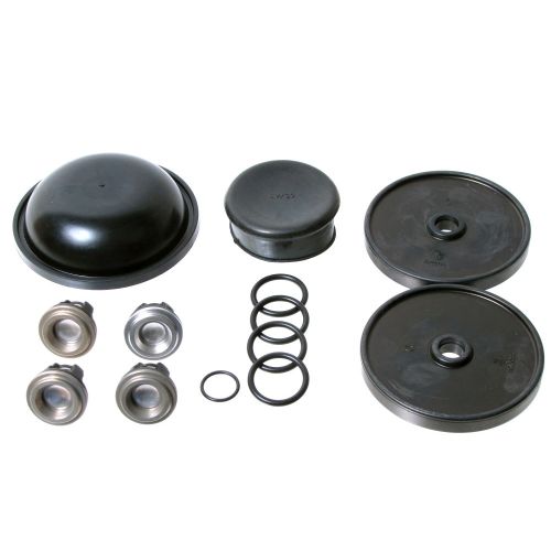 The D30 Repair Kit, comes complete with valves and valve o-rings. Includes more parts than the standard Hypro D30 Repair Kit.