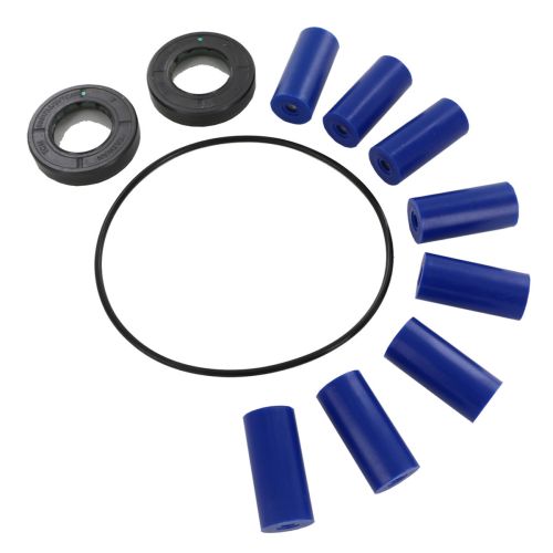 This is the repair kit for the 7560 Series Roller Pump. 3430-0381.