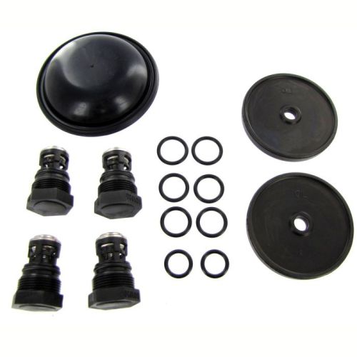 D252REPAIRKIT complete repair kit for the 9910-D252 Pump includes diaphragms, valves, and o-rings.