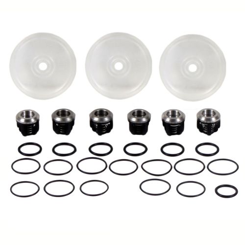 Above is the complete repair kit for the Hypro D403 (the Hypro D403 is used on Lesco Sprayers). This kit includes the diaphragms, valves and valve o-rings.