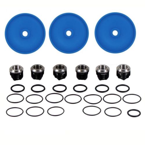 Hypro D403-RKBLUE is a complete repair kit for the D403 and includes the new BlueFlex diaphragms, which use some of the best performing diaphragm material currently available.