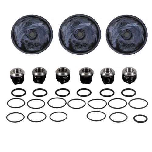 Complete Hypro D403 Repair Kit with Buna diaphragms (D403-RKBUNA).