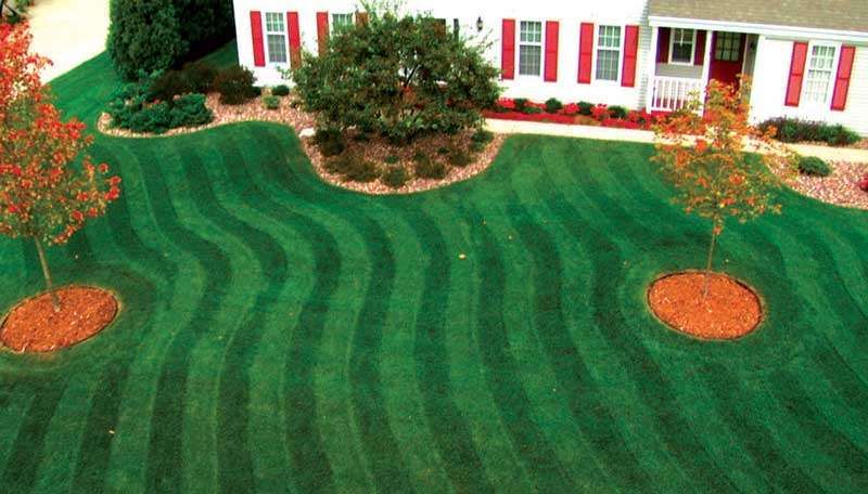 Universal lawn striper sale