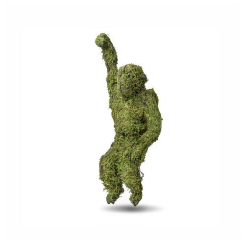 Hanging Monkey Topiary Frame - Mossed - 8&quot;