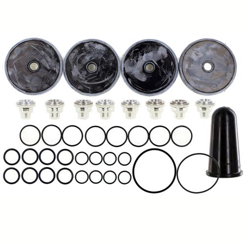 Comet 5026.0087 Repair Kit for the APS96 Diaphragm Pump. Contains replacement valves, o-rings, and diaphragms.