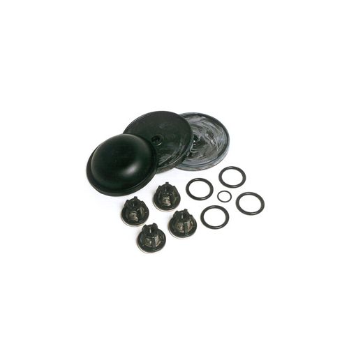 Repair Kit for Hypro D70 Diaphragm Pump.