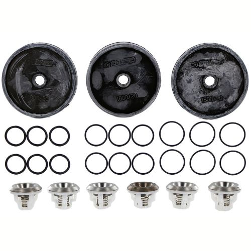 Repair kit includes all the parts required to fix diaphragm or valve problems on the Comet APS41 pump.