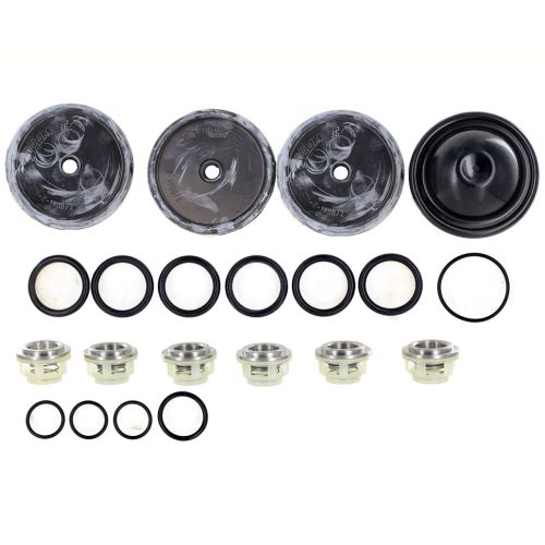 This repair kit contains all the necessary parts needed to fix common problems on your Comet BP125 pump.