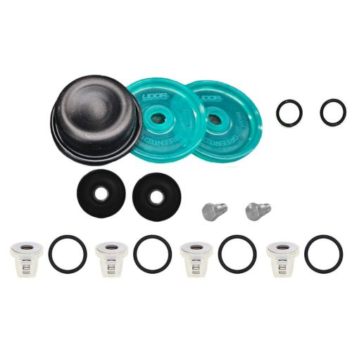 Complete Udor KAPPA18REPAIRKIT includes the diaphragms, valves, and valve o-rings.