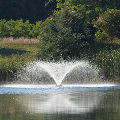 This Kasco fountain model is great for smaller ponds.