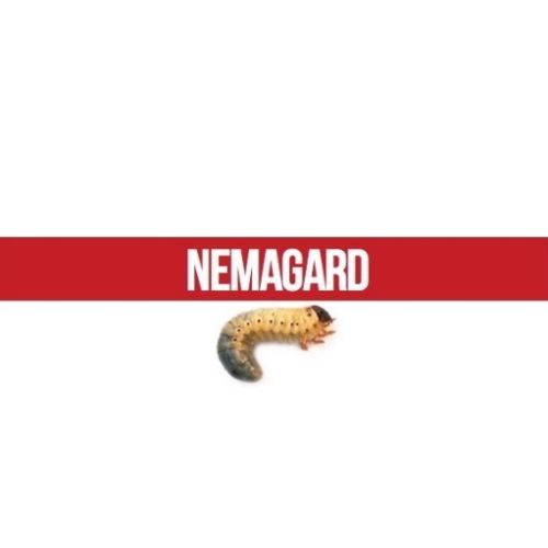 Contains millions of beneficial nematodes that eliminate white grubs and other insect pests, protecting your lawn from the destruction they can cause.